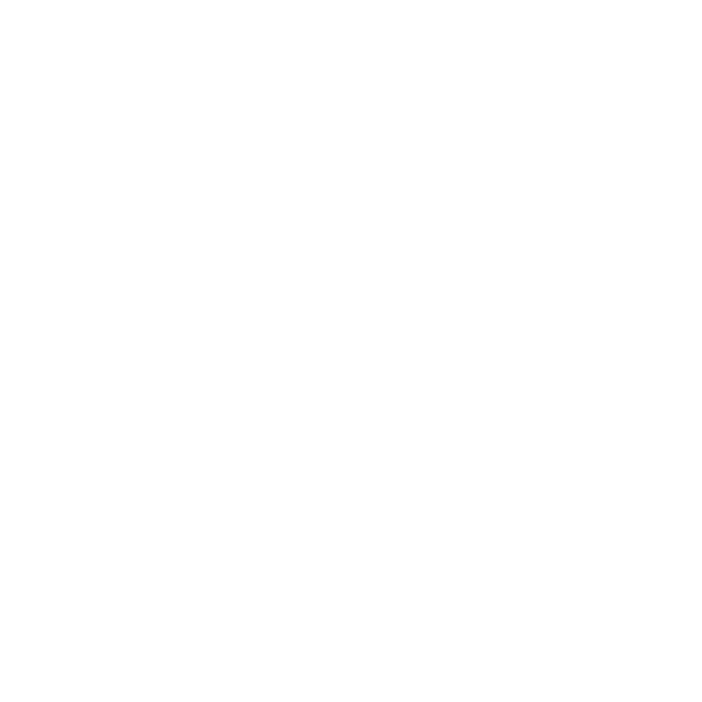 Nationales Performance Netz Logo